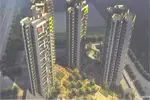�����ڰ�