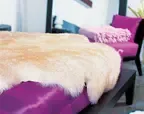 增添情调皮草家居饰品 炎炎夏日也不逊色