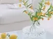 �Ӽҷ�ˮ����7��