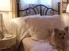 80����Ů����Ӣ�׷�