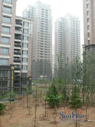 大连明珠小区实景