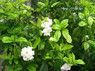 ���е����ӻ�
