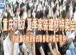 7.27夏季建材特卖会