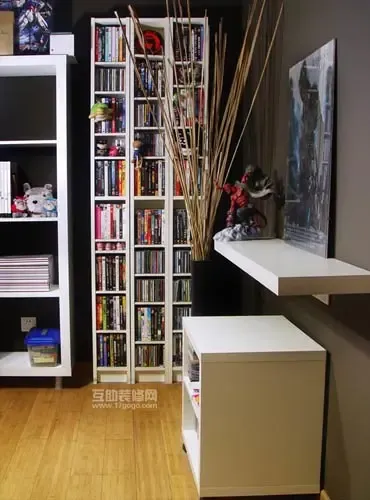 充分体现房主的爱好,收藏DVD 充分体现房主的爱好,收藏DVD