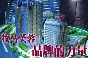 牧马:成熟的房市必将走向品牌