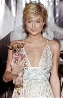 ������͸�����ͼ