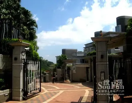 山顶道为来往香港岛太平山山顶至湾仔峡的必经