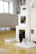 �����������Ǽ�Ʒζ�� ����Ҿ߶�������(ͼ)
