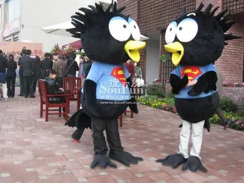 鼎科阿布阿布看房记:每只菜鸟都有鹰的梦想