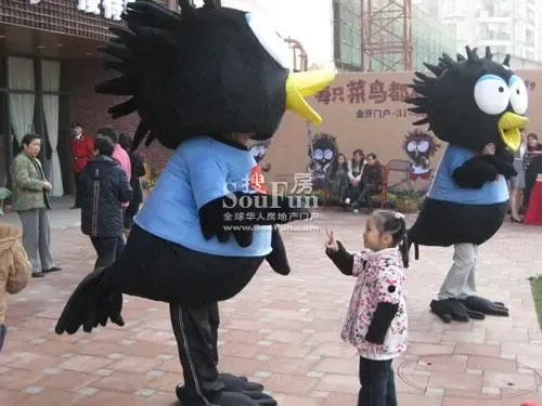 鼎科阿布阿布看房记:每只菜鸟都有鹰的梦想