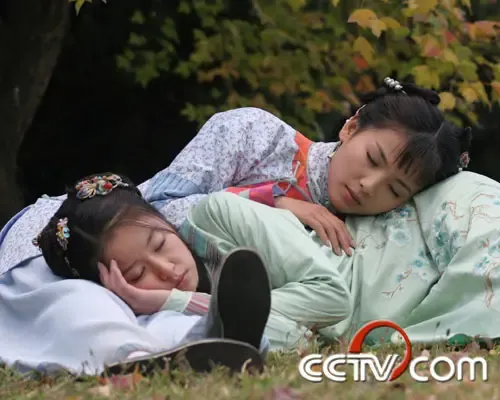 电视剧《 大理公主 》全集 剧情介绍 (1-大结局)-楼