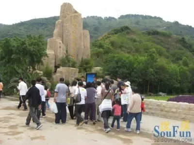 现场图片 现场图片
