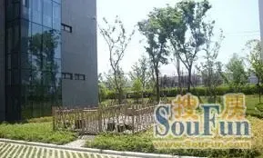 soso������ С�������黦������
