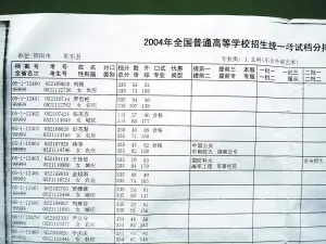 收入证明_2004到2018收入成果
