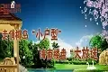2009椰岛走俏小户型