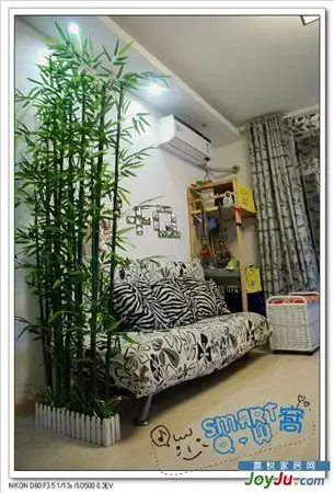 40ͼɹ����65ƽ�� 5��DIY���������ɫ����(ͼ)