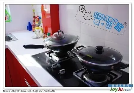 40ͼɹ����65ƽ�� 5��DIY���������ɫ����(ͼ)