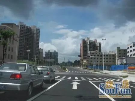 坂雪岗大道通车,车友自驾体验游|搜房地产资讯