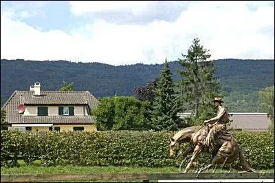 车王舒马赫取消复出计划 瑞士豪宅网上曝光