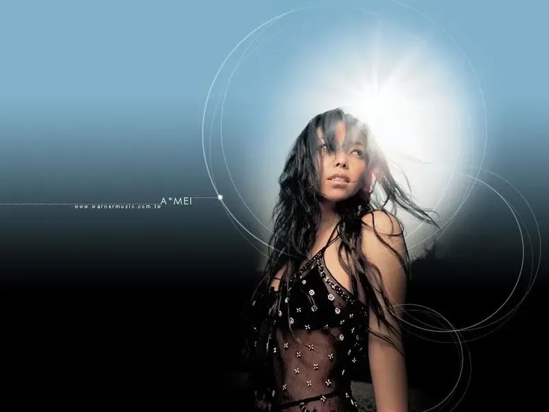 台风莫拉克摧毁<em>张惠妹</em>豪宅