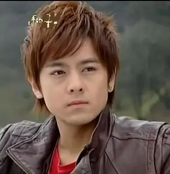 谢霆锋周杰伦林志颖郭富城帅哥发型10年变迁_房