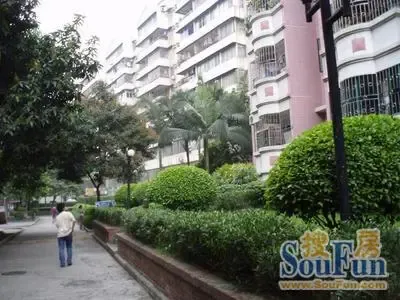 ����������ַ��Ƽ�ϵ��:���68ƽ2����60��