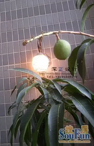 清新绿色主调家装案例 达人美家堪做样板房(组