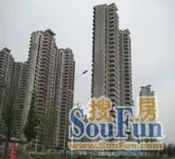 ������� 11�·��Ͼ�����Ԥ��