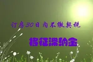 ����30���ڲ�����˰�������ɽ�