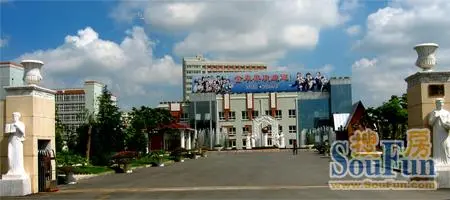 金苹果双语学校