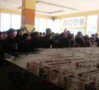 �´������� ��ɽ�������뷢