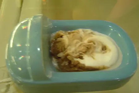 马桶餐厅_马桶餐厅设计_抽水马桶结构图