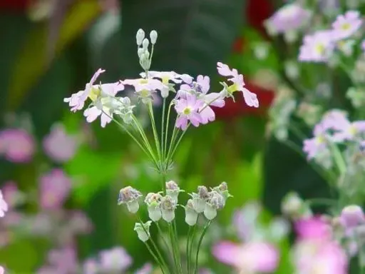 2010年3月8日三八妇女节