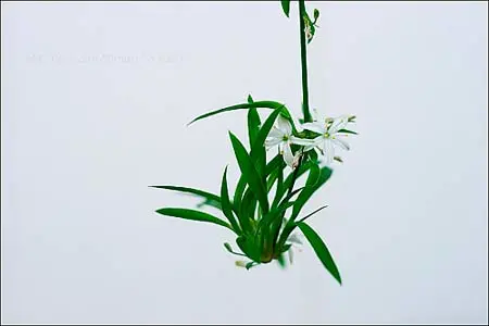 点击图片查看下一页