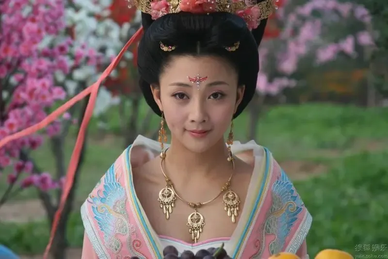 《杨贵妃秘史》分集剧情介绍(1-30集大结局)