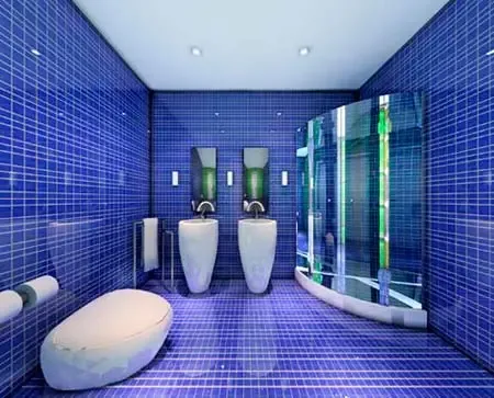 环保意识增强 绿色陶瓷或将成为未来发展的新