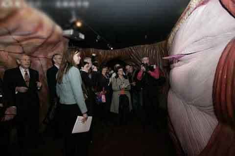 揭秘世界第一“人体”大厦 完全模仿人体而建|搜房地产资讯