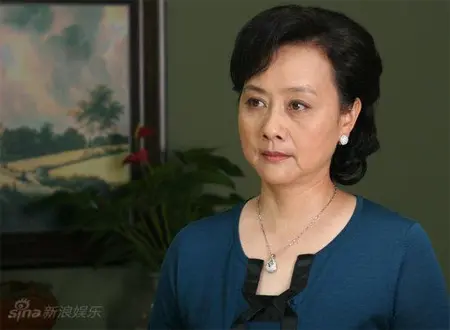 陈小艺电视剧漂亮女人 剧照与剧情