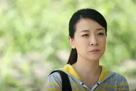 陈小艺电视剧漂亮女人剧照与剧情_房产资讯-上