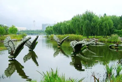 上海端午节去哪玩+超全上海附近旅游景点