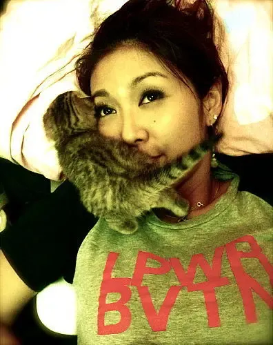 薛凯琪透视装露底惹人想盘点薛凯琪无下限家居