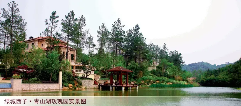 青山湖玫瑰园一期山地别墅盛大交付——房地产门户房天下