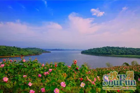 松湖花海位于松山湖滨湖南路沿线,全长约9公里,绿化面积约100万平方米