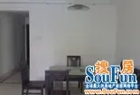 �㾰��Է