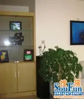 ����С��