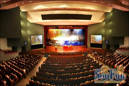 斗志昂扬地走进蛇口风华大剧院,参加了在此隆重召开的"再造新蛇口"