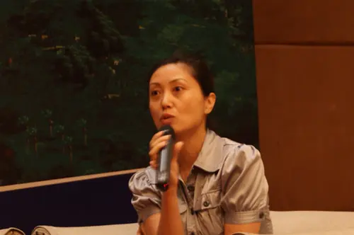 大华西海岸胡骏:风情小镇建设需融入当地文化理念