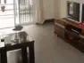 ����ص�Сѧѧ�������69��