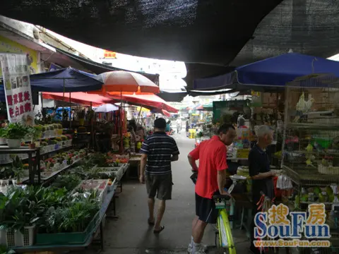 就是武胜路著名的花鸟市场