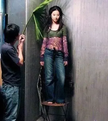 朴敏英刘亦菲林依晨+揭娱乐圈明星身高杯具(组